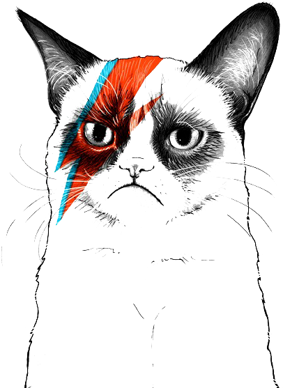 Grumpy Cat Tumblr Transparent - David Bowie Artist Tribute (453x600)