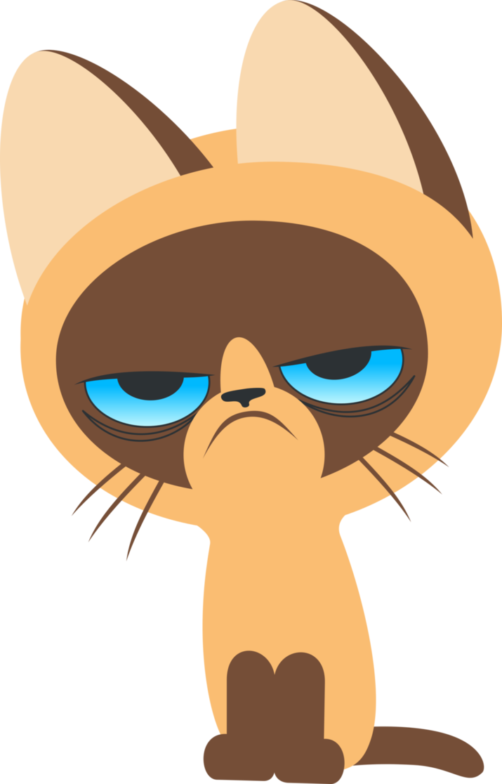 Kitten Named Grumpy By Up1ter - Kitten (715x1116)