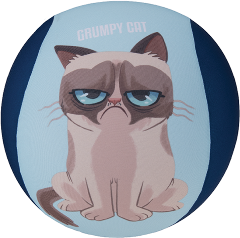 Grumpy Cat Mornings Mug (510x492)