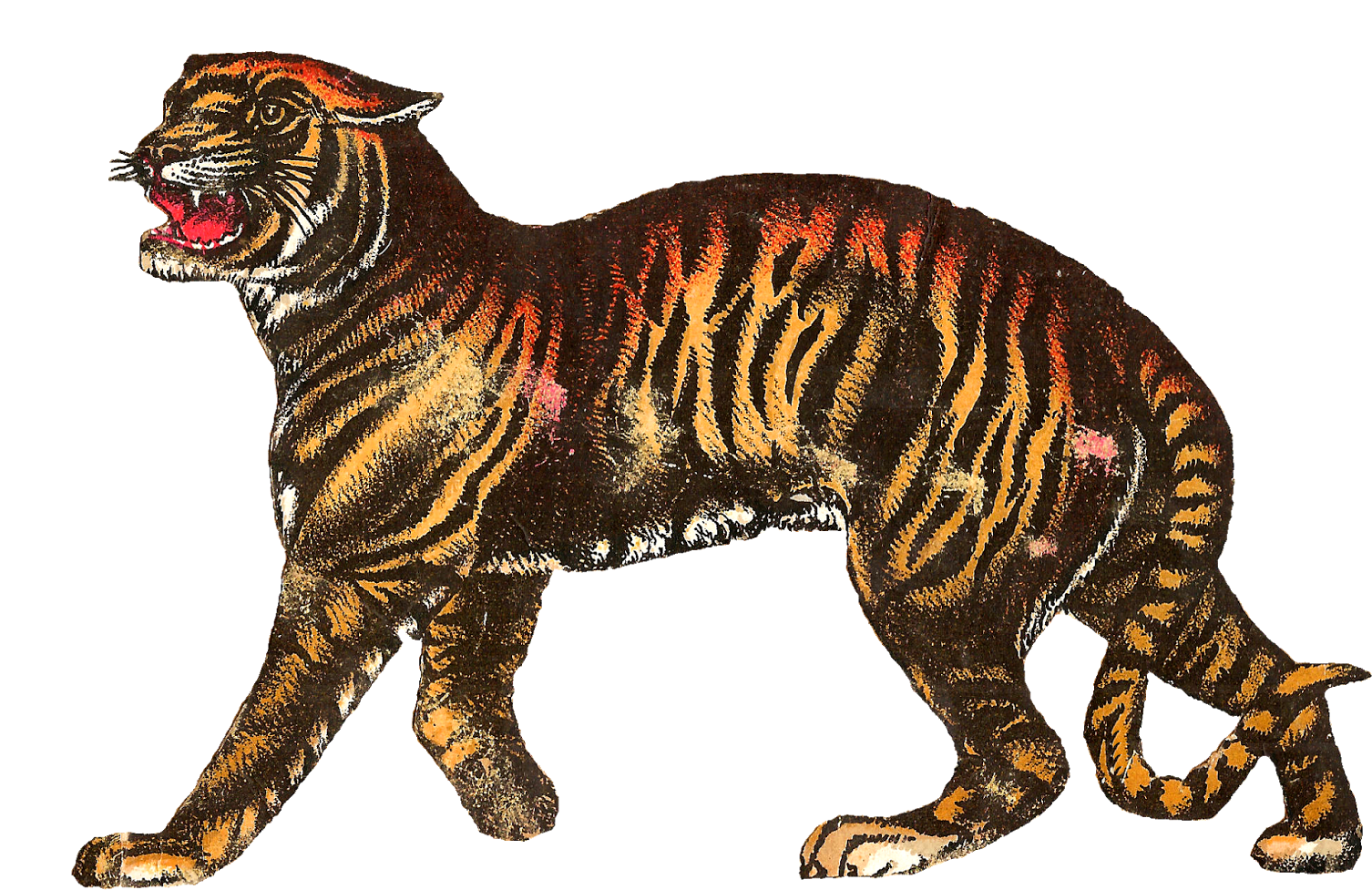 Antique Images - Vintage Circus Tiger (1600x1046)