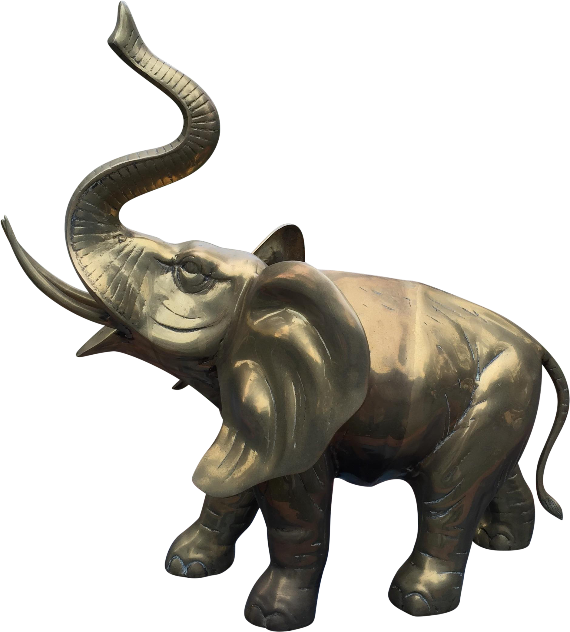 Indian Elephant (2448x2448)