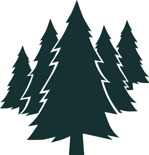 Evergreen - Odoo (519x539)