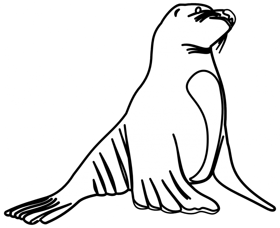 Sea Lion Coloring Pages Coloring Pages Amp Pictures - Sea Lions Black And White (940x766)