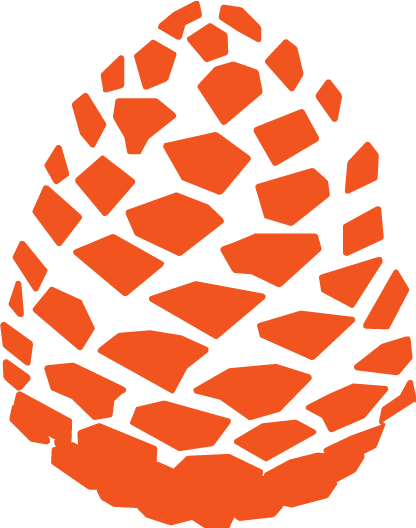 Pinecone - Lil Pinecone (416x528)