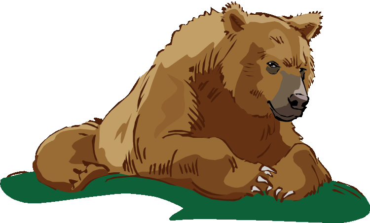 Bear Clipart Grizzly Bear - Grizzly Bear Clipart Transparent (750x453)