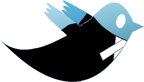 Learn About Our Past Twitter Moots - Twitter Bird Icon (500x306)