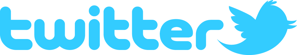 It Gained More Popularity In 2012 And The Year 2013 - Twitter Text Logo Png (1000x186)