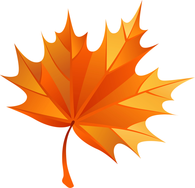 Fall Clip Art - Design (800x769)