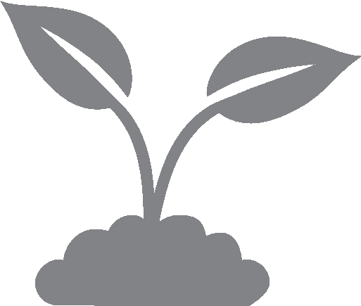 Fig & Lily Local Impact - Cluster Consonant (512x453)