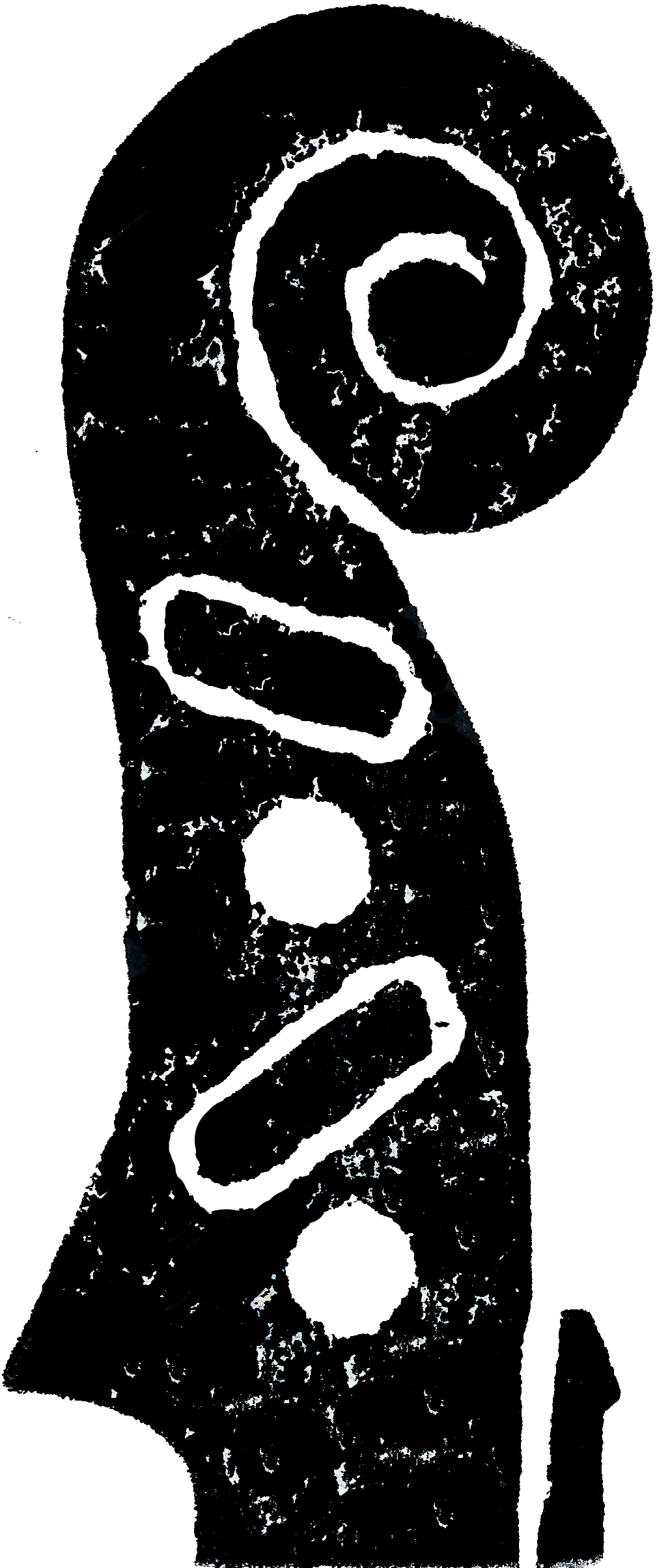 She Continues To Enjoy Fiddling With The Lilies And - Lilies Of The West (1170x2526)