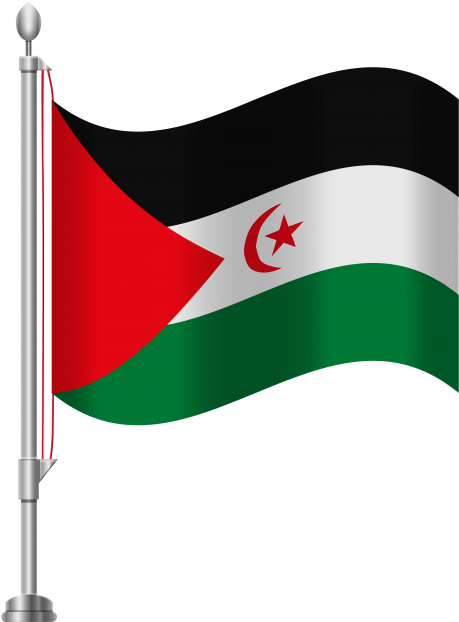 Free Png Western Sahara Flag Png Images Transparent - Jordan Flag Png (480x626)