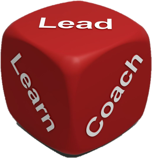 Dice - Yes No Maybe (818x686)