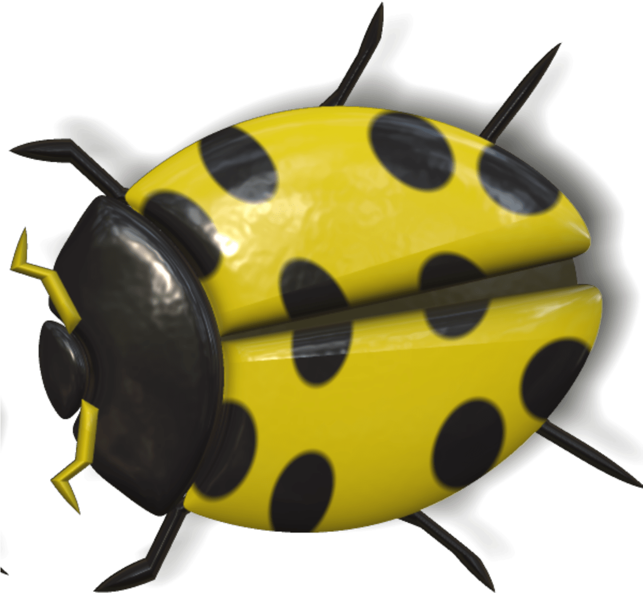 Ladybug Yellow And Black - Yellow Ladybug Png (1280x1280)