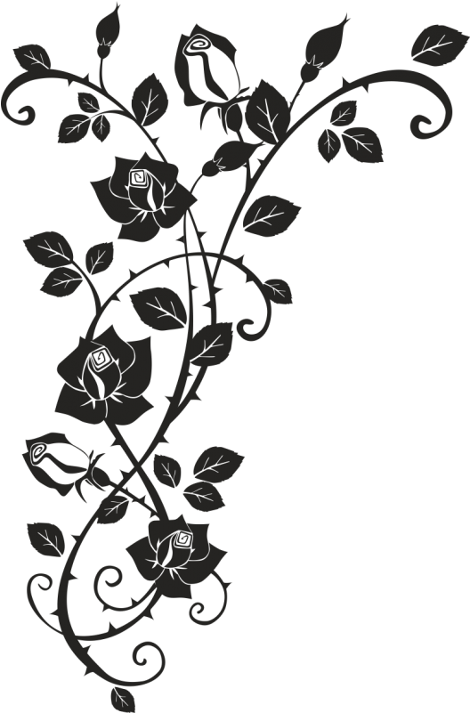 Thorns, Spines, And Prickles Rose Drawing Clip Art - Dessin De Rosier Grimpant (800x800)