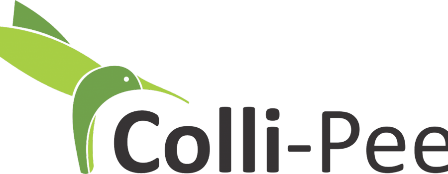 You Are Here - World Wide Web (900x350)