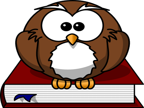 Bumblebee - Owl2 - Owl On A Book Clipart (480x360)