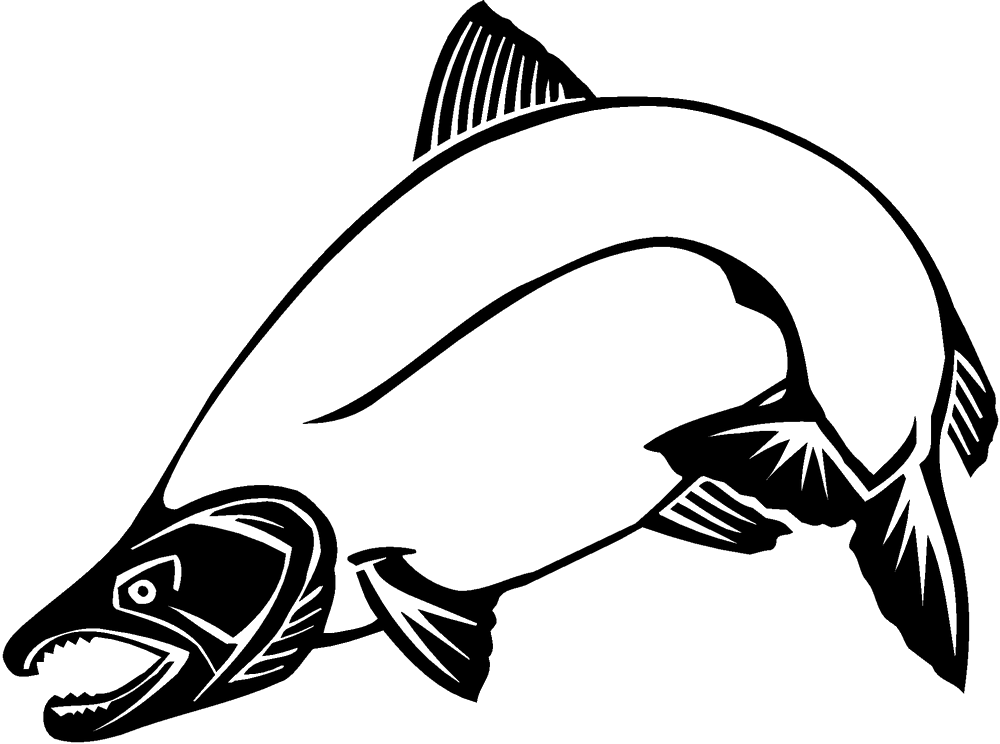 Chinook Salmon Clip Art - Coho Salmon Clip Art (1000x744)
