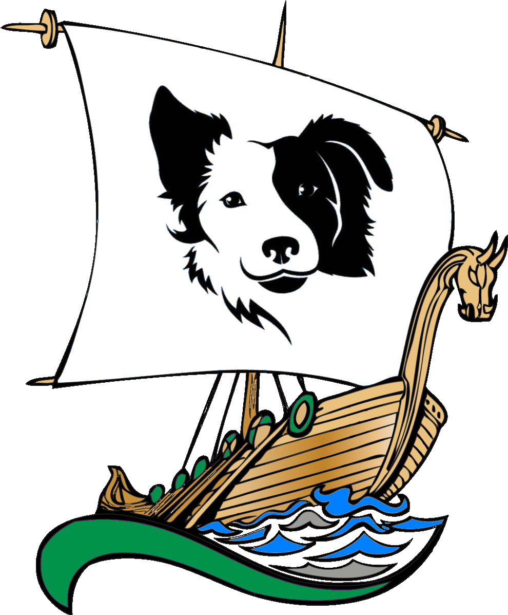 Chien Border Collie Dessin (1022x1232)