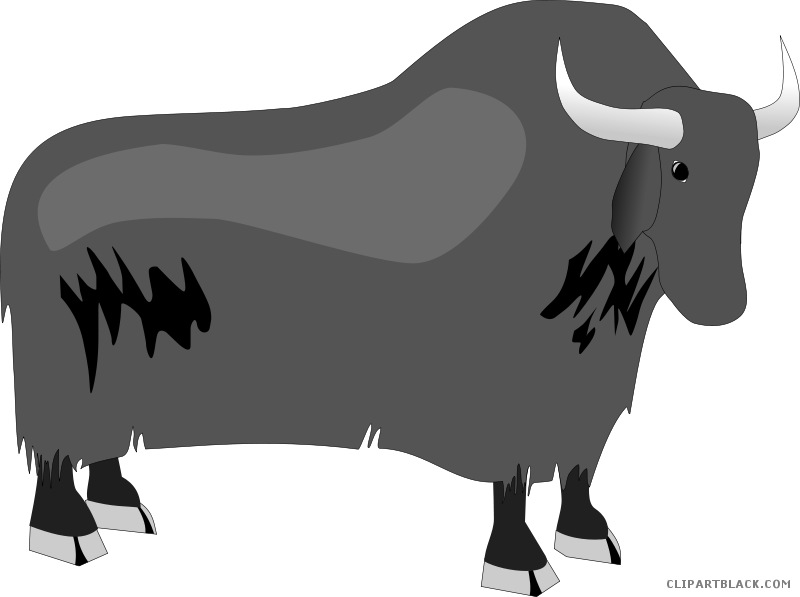 Yak Animal Free Black White Clipart Images Clipartblack - Domestic Yak (800x597)
