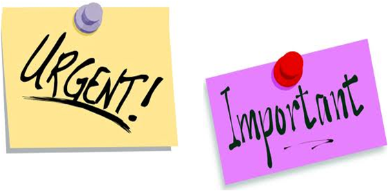 Reminders Mrs Greengrizzlies Clipart Clipartpost - Urgent Important (563x277)