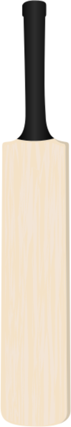 Cricket Bats Baseball Bats Clip Art - Cricket Bat Vector Png (300x1785)