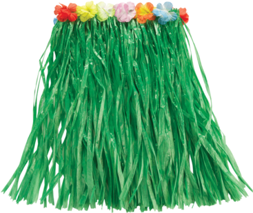 Green Hawaiian Skirt " Name="og Description - Hawaii Grass Skirt (366x580)