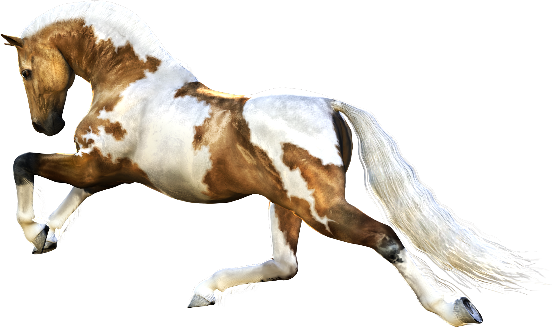 Horse Running Png (1800x1310)