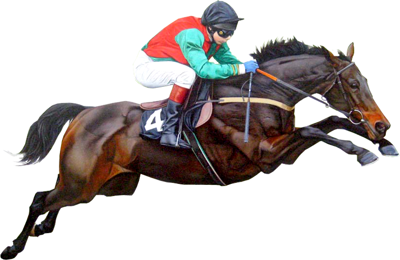 Download Png Image Report - Race Horse Clear Background (787x512)