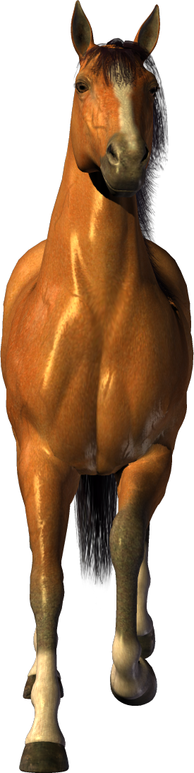 Horse Fifty-three - Png Horse (275x1093)