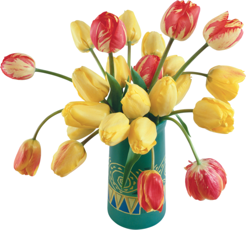 Png Lale Resimleri, Tulip Png Pictures - Feliz Cumpleaños En Portugues (500x467)