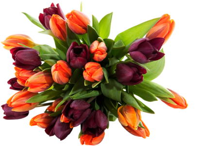 Png Lale Resimleri, Tulip Png Pictures - Beautiful Flowers Bouquet Hd (500x333)