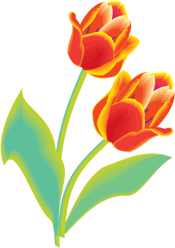Png Lale Resimleri, Tulip Png Pictures - Tulip Clip Art (377x500)