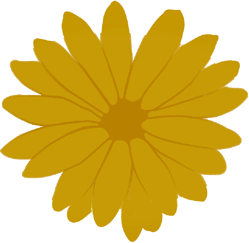 Nature - Clip Art Flower (800x780)