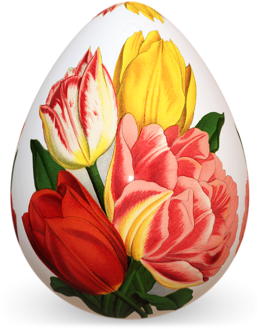 Vacation, Easter Egg Colorful Tulips Png File Transp - Golden Hill Studio Tulips Pillow Cover (1097x1280)