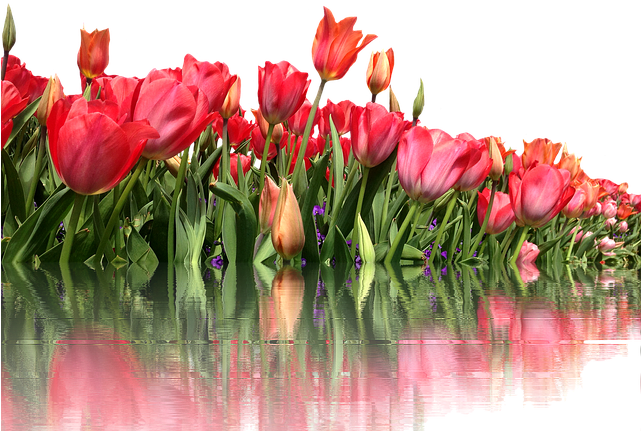 One Line A Day: My Journey With Parkinson's (640x480)