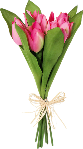 Png Lale, Png Tulips, Png Lale Resimleri, Png Tulips - Qua Tang Cuoc Song (280x500)