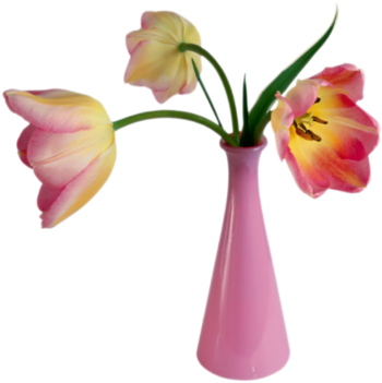 Pink Vase-3tulips - Happy Valentine's Day Card (350x351)