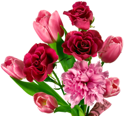 Png Lale, Png Tulips, Png Lale Resimleri, Png Tulips - Buon San Valentino Gif (500x375)