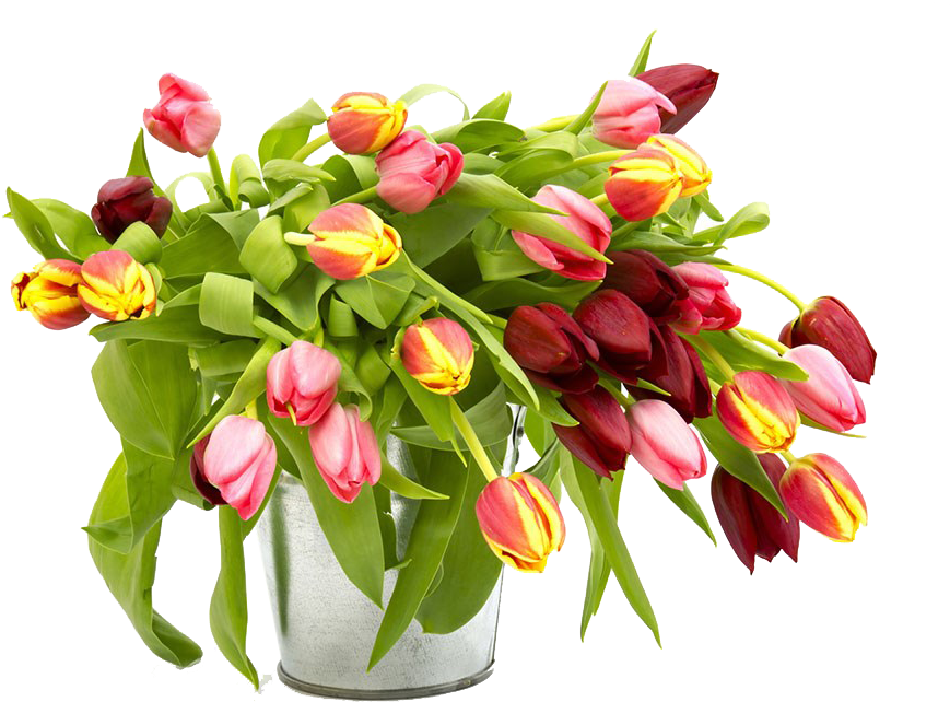 Floral Design Tulip Flower Bouquet Stock Photography - Tulip (1024x683)