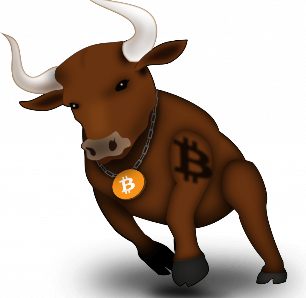 Can I Buy Bitcoin Stock - Bull Run Bitcoin (1024x997)