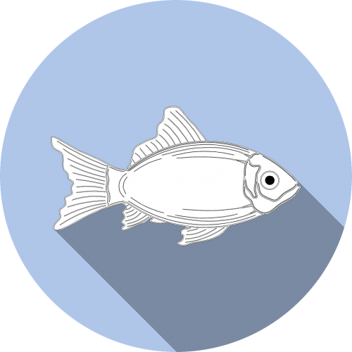 Fish,allergy,food,no - Kind Of Fish Is Made Of Two Sodium Atoms (500x500)