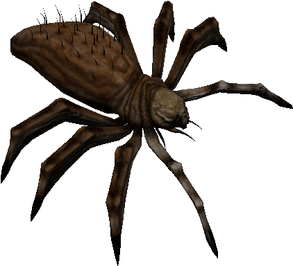Bu-111 - Araneus Cavaticus (442x401)
