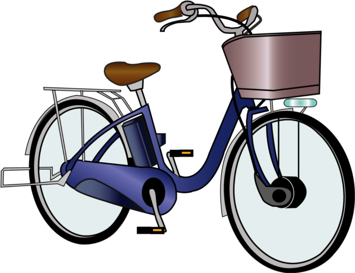 Electric & Bicycle - Hybrid Bicycle (750x576)