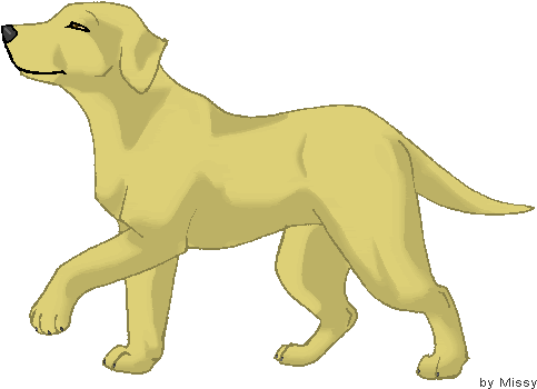 Yellow Lab Dog Clipart - Yellow Lab Dog Clipart (500x379)