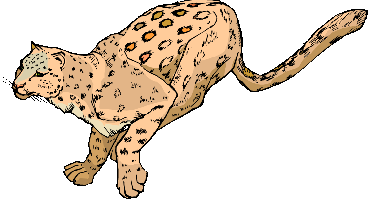 Leopard Clipart Gif Transparent - Leopard Clipart Transparent Background (750x405)