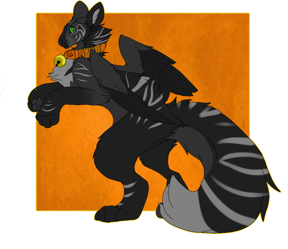 Midnight The Black Cat Dutch Angel Dragon - Cat Dutch Angel Dragon (1000x936)