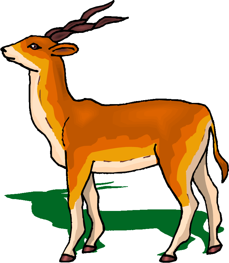 Pronghorn Antelope Clipart Black And White - Animals With Horns Clipart (750x864)