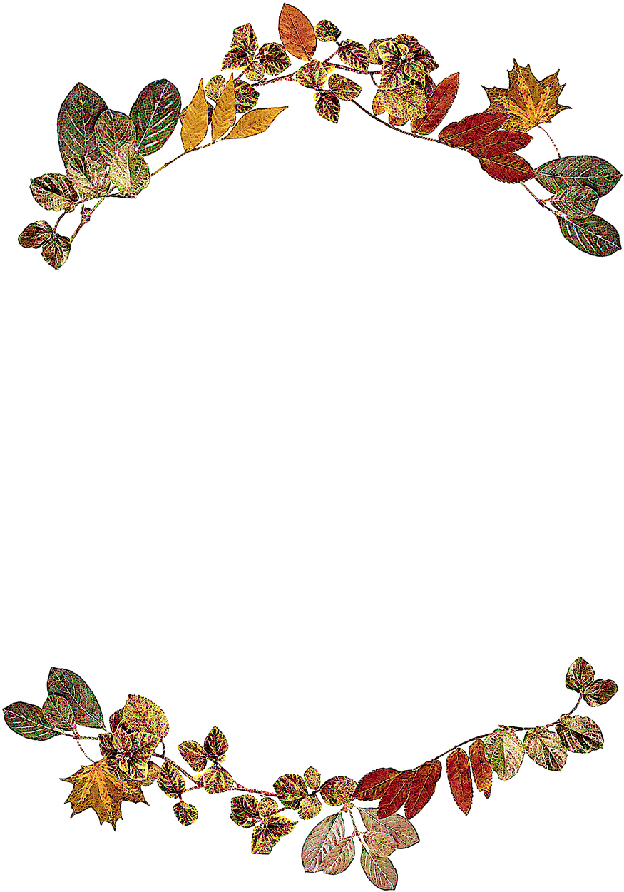 Wedding Invitation Picture Frames Leaf Baby Shower - Leaf Frame (906x1280)