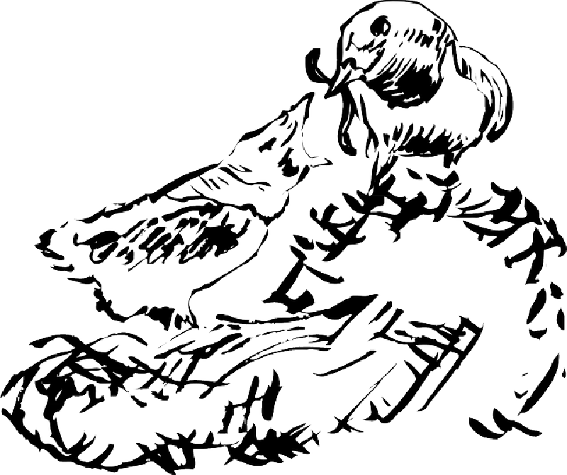 Animals, Baby, Worm, Drawing, Bird, Chick, Nest - Drawing (800x670)