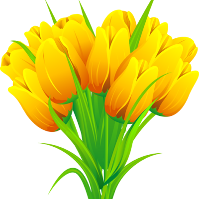 Yellow Tulip Clip Art - Spring Tulip Clip Art (400x400)